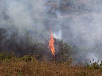 Пожар в районе Иерусалима: подозрение на поджог 