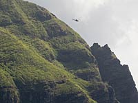 Очередная авиакатастрофа в Колумбии: не менее 16 погибших