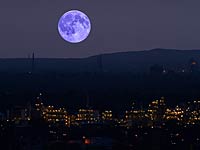 Причина убийства  жительницы Флориды  и двух ее сыновей –