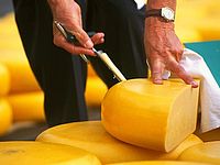 В России уничтожили уже более 300 тонн продуктов питания