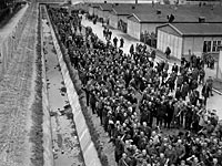 Роман о любви еврейки и коменданта лагеря  Терезин номинирован на престижную премию
