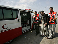 В Египте аномальная жара унесла жизни 40 человек