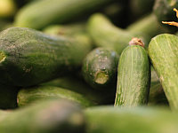 Жители поселка, производящие 60% израильских огурцов, намерены объявить забастовку