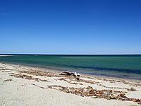 На упавшем в Охотское море Ми-8 летели топ-менеджеры 