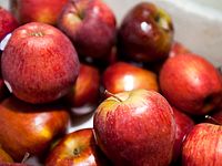 Россельхознадзор уничтожает по 200 тонн продуктов в день