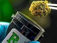 Марихуана помогает сломанным костям срастаться быстрее