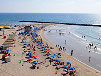 Полиция разыскивает 30-летнего мужчину, утопившего лабрадора на пляже в Нетании