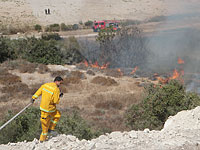 На севере и на юге Израиля горит кустарник: пробки на шоссе 4 и 6 