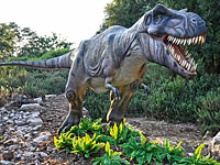 Последняя неделя