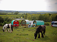 Стрельба на севере Франции: четыре человека убиты