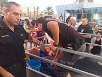 Израильтяне вынесли на берег на носилках раненого дельфина весом в 250 кг