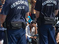 В Венгрии арестованы перевозчики нелегалов, в том числе, гражданин России