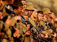 Арабские СМИ: французские евреи идут в израильскую армию, чтобы убивать палестинцев