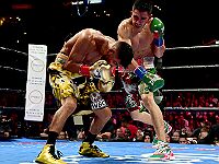 Бои в Калифорнии: Мосли нокаутировал Майоргу, Санта Крус одолел Мареса