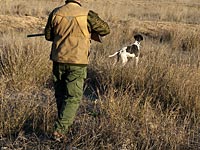 Португальский пенсионер, раздраженный лаем собаки, убил трех человек
