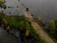 Наводнение в Уссурийске: в зоопарке погибли животные