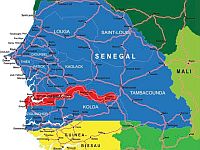 К западу от Сенегала пропал медицинский самолет, судьба 7 человек неизвестна
