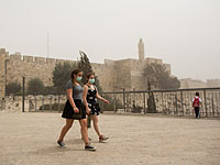 МАДА: более 255 человек обратились за помощью в связи с погодными условиями
