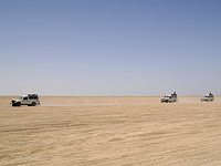 Гибель туристов в Египте: организаторы утверждают, что уведомили полицию об экскурсии