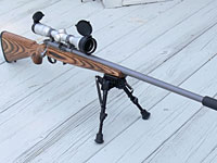 Полицейским временно запретили использовать винтовки Ruger против камнеметателей