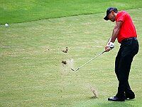 Список спортсменов, больше всех заработавших за десятилетие, возглавил Тайлер Вудс, Шарапова – на 18-м месте