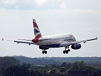 Российских спортсменов не пустили на турнир в Корею из-за пьяного дебоша в самолете