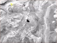 Российские самолеты нанесли удары по позициям ИГ на севере Сирии