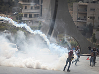 Беспорядки в Иудее и Самарии: арабы атакуют израильтян и выкорчевывают виноградники