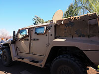 Hawkei