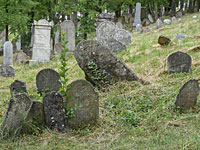 Жители польского города Гловачув ищут золото в еврейских могилах