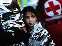 Около 1000 незаконных мигрантов находятся на границе Австрии и Словении