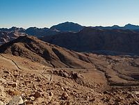 Египет: в результате падения российского самолета погибли все, находившиеся на борту