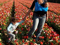 Министры утвердили: отменяется автоматическая передача детей матери в случае развода