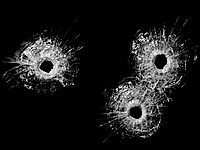 СБУ: в Киеве обстрелян кабинет генпрокурора Украины Виктора Шокина