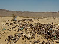 ТАСС: на месте крушения самолета на Синае обнаружены элементы, не относящиеся к его конструкции