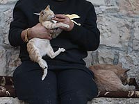 В БАГАЦ подана апелляция против