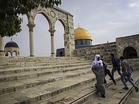 Террорист, ранивший израильтянина в промзоне