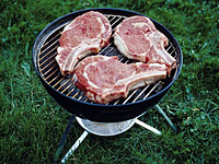 Техасские ученые: злоупотребление барбекю повышает риск развития рака