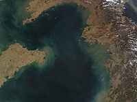 Желтое море