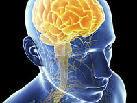 Ученые впервые преодолели защитный барьер мозга, чтобы вылечить пациента от рака