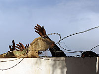 Пятнадцать нелегалов были убиты египетскими пограничниками при попытке проникнуть в Израиль