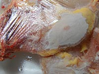 Россия будет импортировать из Израиля мясо птицы
