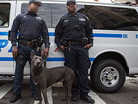 
Питер Голд из Нового Орлеана спас женщину и оказался в больнице: преступник сознался