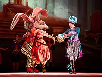 Ледовый театр Елены Бережной покажет в Израиле