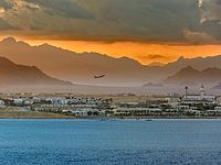 Последний в этом году рейс из Египта в Москву приземлился в аэропорту 