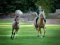 Экс-профессор Кембриджа отказалась помочь израильской школьнице: первым делом палестинцы