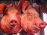 В мечети при университете Западной Австралии найдены свиные головы