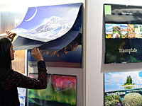 Обама в виде обезьяны – на разделочной доске из супермаркета в Татарстане