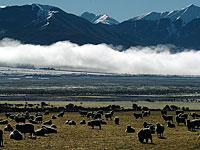 Израильский альпинист упал со скалы в Новой Зеландии и получил травмы