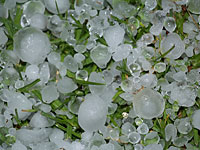 Мицпе-Рамон и некоторые районы Негева 